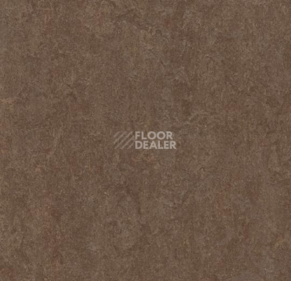 Линолеум Forbo Marmoleum Marbled Fresco 3874-387435 walnut фото 1 | FLOORDEALER